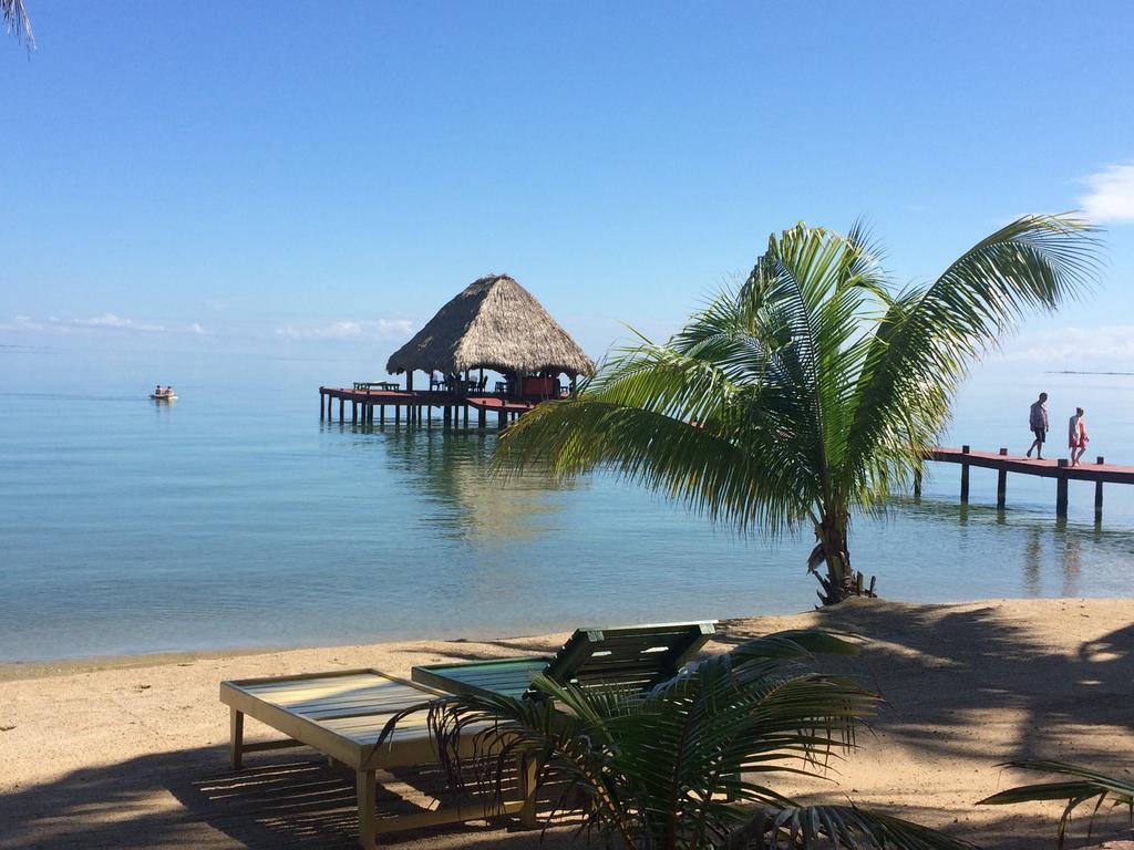 Robert'S Grove Beach Resort Placencia Eksteriør billede